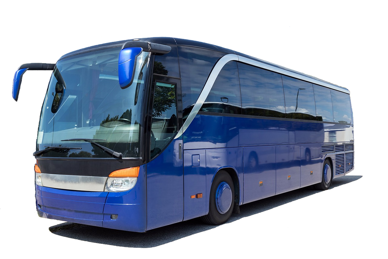 bus